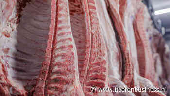 DCA Beursprijs buigt niet voor druk van slachterijen