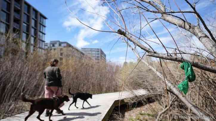Bin there, dumped that: Trash cans to be reinstalled along Montreal’s Lachine Canal