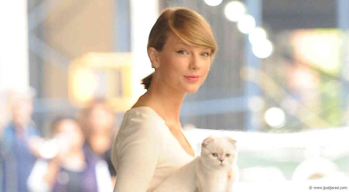 The 10 Richest Pets in the World Revealed & Several Celebs' Pets Made the List! (One Dog is Worth $500 Million)