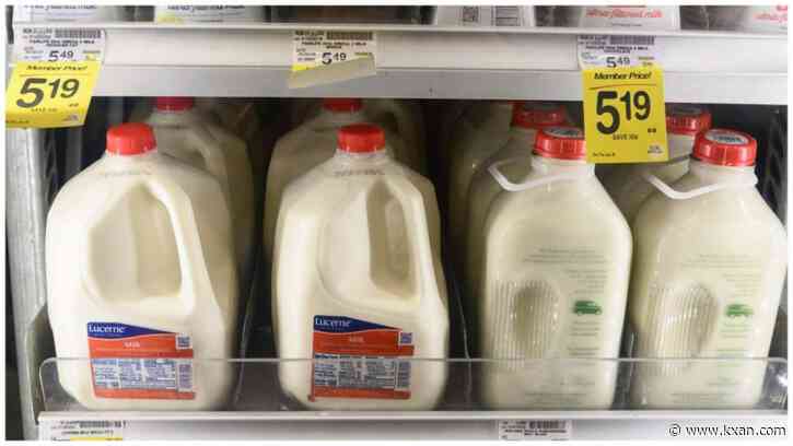 Bird flu virus traces found in 1 in 5 samples of pasteurized milk: FDA