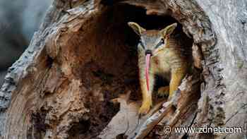 Ubuntu 24.04: This great new Linux distro isn't just fast - it's a fortress