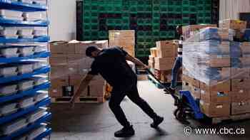 Nearly 23% of the Canadian population reported food insecurity in 2022