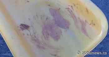 Students smear peanut butter on Toronto school playground in ‘misguided’ prank attempt