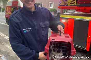 FW-MH: Junge Katze aus Kamin befreit