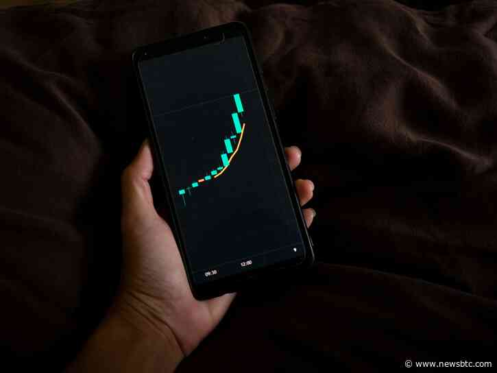 NEAR Protocol Soars 7.3%, Is It Poised To Go Higher?