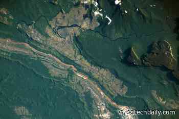 Ecological Islands: Exploring the Alien Worlds of Venezuela’s Sky-High Tepuis