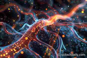 Tiny Robotic Nerve “Cuffs” Could Transform How We Treat Neurological Conditions