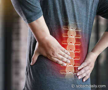 New Research Links Chronic Pain to Socioeconomic Background