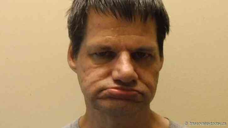 B.C. sex offender pleads guilty to breaching supervision order following manhunt