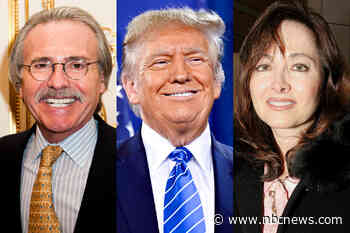 What you missed on Day 8 of Trump's trial: New witnesses and contact info for Stormy Daniels and Karen McDougal