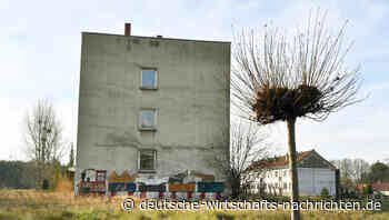 Deutschlands herrenlose Häuser: Eine Chance für den Markt?