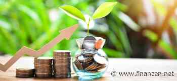 Achtung vor baldigen Zinssenkungen: Deutsche Pfandbriefbank bietet noch bis Ende April über 3,7 % für Festgeld!