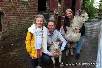 ’t Pauwenhof maak zich op voor eerste editie van de ‘Lammetjesdag’