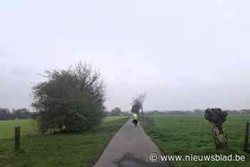 Van de grootste galerij tot het langste tapijt: gemeente trapt toeristisch feestjaar op gang