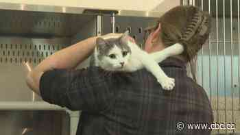 Fewer Canadians are giving to charity, and that's a problem for everyone