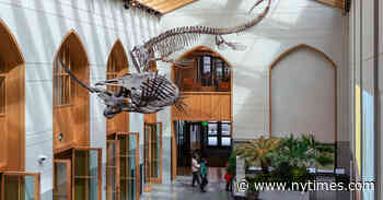 Upgraded Museums Add New Value at Colleges and Universities