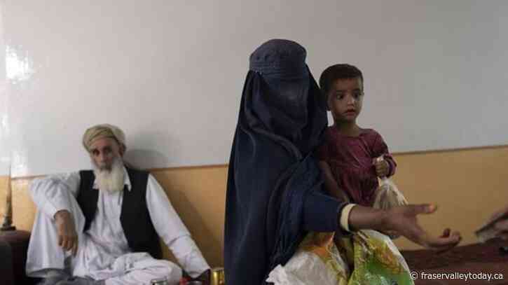 ‘The world is too messy for bureaucratic hurdles’: Canada still bars Afghanistan aid