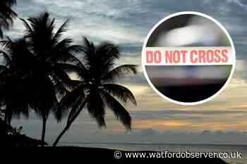 Hertfordshire tourist savaged in Caribbean shark attack