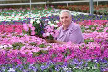 Große Verlosungsaktion: Wer will bunte Blumen gewinnen?