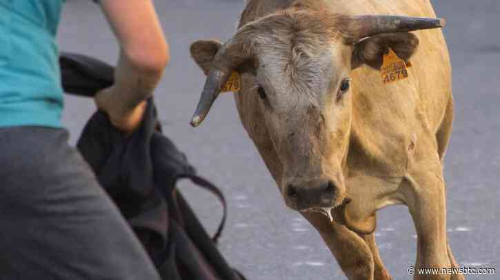 Bitcoin Raises Bull Flag, Formation Triggers Calls For $100,000