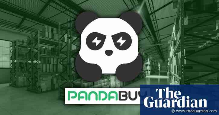 Pandabuy: police raid ‘20 football stadiums’ worth of alleged fake goods warehouses