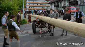 Tegernsee bekommt wieder einen Maibaum - Feier am Kalterer Platz