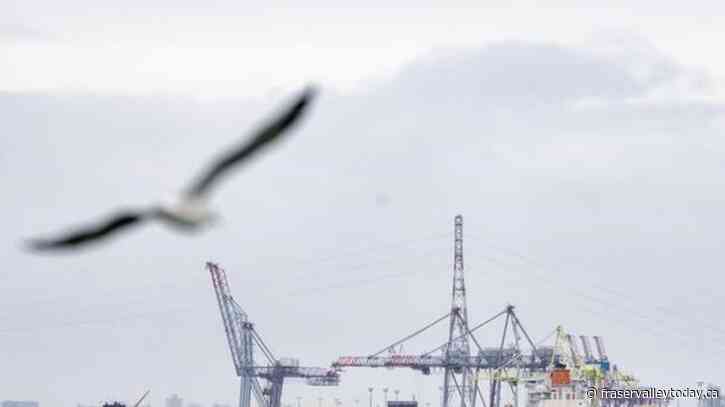 Workplace safety officials investigating truck driver death at Port of Montreal