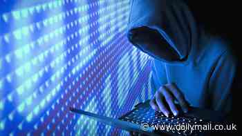 FBI reveals US states with the worst cybercrime... is YOUR hometown a target?