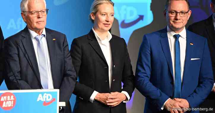 Der Elefant im Raum – AfD ohne Spitzenkandidat