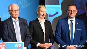 Der Elefant im Raum - AfD ohne Spitzenkandidat