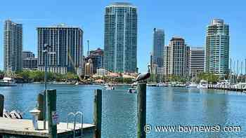 St. Pete neighborhood advocacy group looks to expand