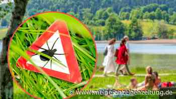 Gefahr einer FSME-Infektion steigt: RKI informiert über neue Zecken-Risikogebiete in Deutschland