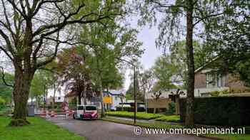 112-nieuws: waarschuwing voor inbrekers • auto botst op lichtmast