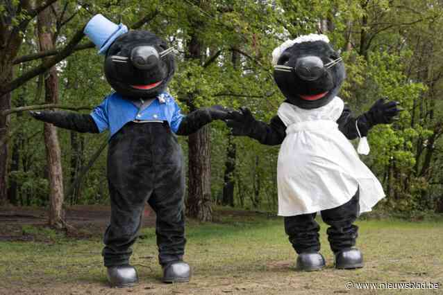 Daar komt de bruid: Pimpernieuw meet Molse mascottes Joske en Margriet buitenmaatse trouwkledij aan