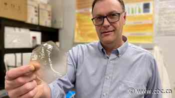 Faba beans used to make plant-based wrap that also keeps food fresh for longer