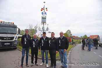 Meiboom na meer dan vijftien jaar terug in Rooien