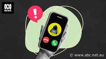 'Couldn't withdraw her money': The scams that stole more than $1b from Australians in one year