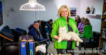 Van blikopener tot nepkat: deze 10 gadgets helpen 80-plussers zelfstandig te leven