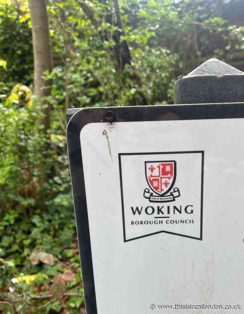 Crucial Local Elections For Woking Councillors- Bella Takla