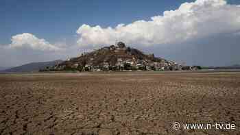 Streit in Mexiko spitzt sich zu: Avocado-Landwirte pumpen Kleinbauern das Wasser ab