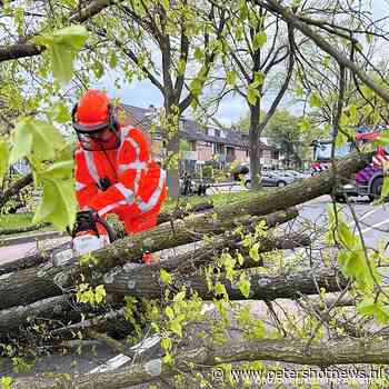 Brandweer in actie voor omgewaaide boom Aalsmeer