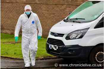 Felling police incident LIVE: Murder probe launched after man found stabbed at address