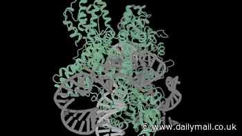 New AI creates molecules not found in nature that can CHANGE human genes to cure even the rarest of diseases