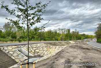 Evence Coppéelaan krijgt verrassende nieuwe look