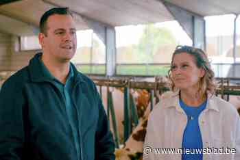 Martijn uit Bree hakt knoop door in ‘Boer zkt vrouw’: “Ik maak het mezelf wel moeilijker”