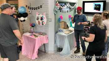 'Kitten Shower' held ahead of anticipated influx of kittens this summer