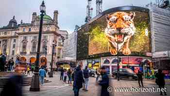 Neuer (D)OOH-Vermarkter: So ambitioniert sind die Wachstumspläne von Ocean Outdoor