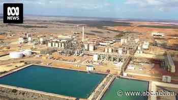 Ravensthorpe nickel mine to close with loss of more than 300 jobs