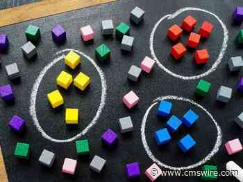 Customer Segmentation in an Era of Deep and Integrated Tech