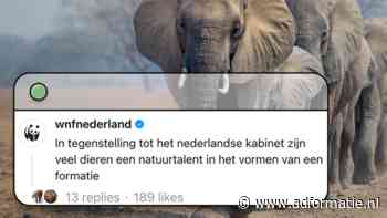 Wereld Natuur Fonds deelt online dierenfeitjes waar volgers beestachtig goed op gaan